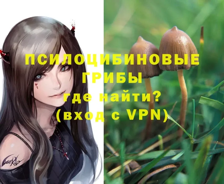 Псилоцибиновые грибы Magic Shrooms  продажа наркотиков  дарк нет формула  Галич 